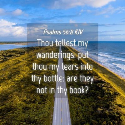 Picture 04 - Psalms 56:8 KJV - Thou tellest my wanderings: put thou my tears - Bible Verse Picture