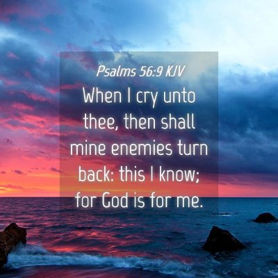 Picture 04 - Psalms 56:9 KJV - When I cry unto thee, then shall mine enemies - Bible Verse Picture
