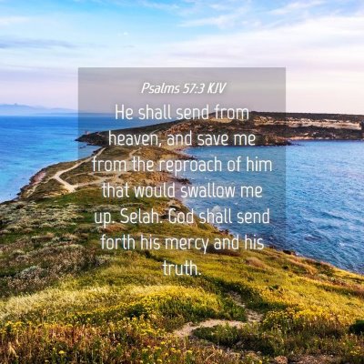Picture 04 - Psalms 57:3 KJV - He shall send from heaven, and save me from the - Bible Verse Picture