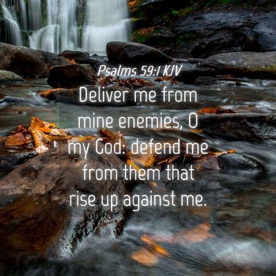 Picture 04 - Psalms 59:1 KJV - Deliver me from mine enemies, O my God: defend me - Bible Verse Picture
