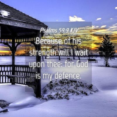 Picture 04 - Psalms 59:9 KJV - Because of his strength will I wait upon thee: - Bible Verse Picture