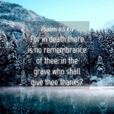 Picture 04 - Psalms 6:5 KJV - For in death there is no remembrance of thee: in - Bible Verse Picture