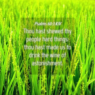 Picture 04 - Psalms 60:3 KJV - Thou hast shewed thy people hard things: thou - Bible Verse Picture