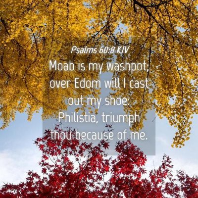 Picture 04 - Psalms 60:8 KJV - Moab is my washpot; over Edom will I cast out my - Bible Verse Picture