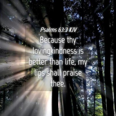 Picture 04 - Psalms 63:3 KJV - Because thy lovingkindness is better than life, - Bible Verse Picture