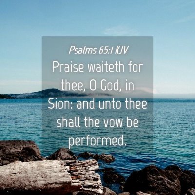 Picture 04 - Psalms 65:1 KJV - Praise waiteth for thee, O God, in Sion: and unto - Bible Verse Picture