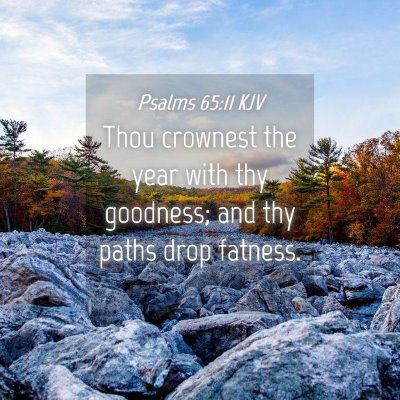 Picture 04 - Psalms 65:11 KJV - Thou crownest the year with thy goodness; and thy - Bible Verse Picture