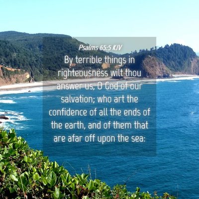 Picture 04 - Psalms 65:5 KJV - By terrible things in righteousness wilt thou - Bible Verse Picture