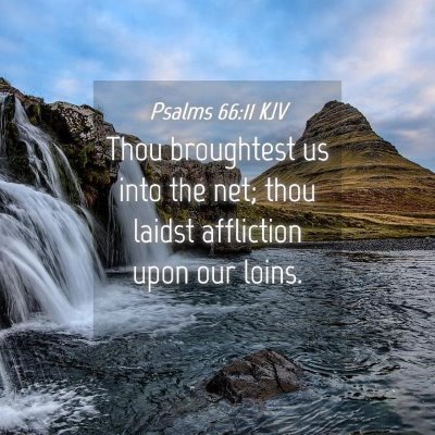 Picture 04 - Psalms 66:11 KJV - Thou broughtest us into the net; thou laidst - Bible Verse Picture