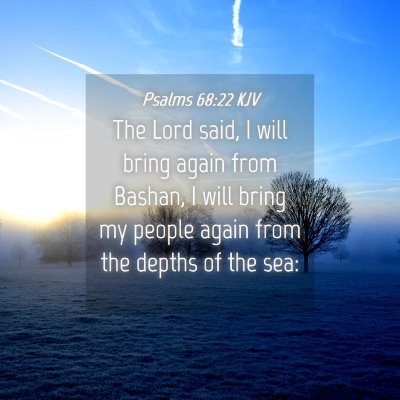 Picture 04 - Psalms 68:22 KJV - The Lord said, I will bring again from Bashan, I - Bible Verse Picture