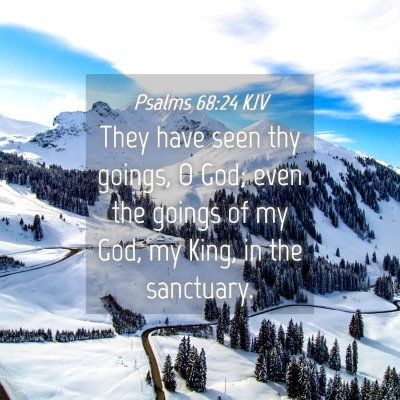 Picture 04 - Psalms 68:24 KJV - They have seen thy goings, O God; even the goings - Bible Verse Picture