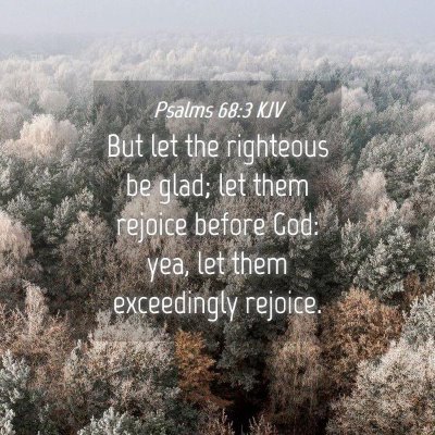 Picture 04 - Psalms 68:3 KJV - But let the righteous be glad; let them rejoice - Bible Verse Picture