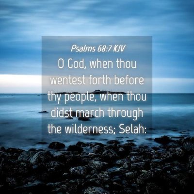 Picture 04 - Psalms 68:7 KJV - O God, when thou wentest forth before thy people, - Bible Verse Picture
