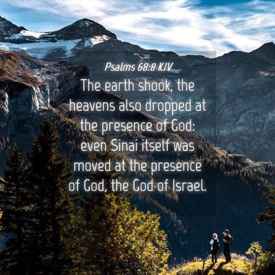 Picture 04 - Psalms 68:8 KJV - The earth shook, the heavens also dropped at the - Bible Verse Picture