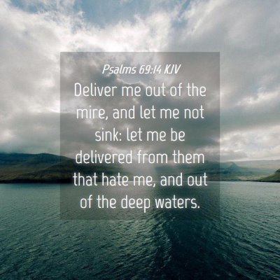 Picture 04 - Psalms 69:14 KJV - Deliver me out of the mire, and let me not sink: - Bible Verse Picture