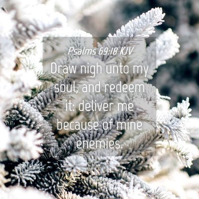 Picture 04 - Psalms 69:18 KJV - Draw nigh unto my soul, and redeem it: deliver me - Bible Verse Picture