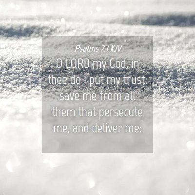 Picture 04 - Psalms 7:1 KJV - O LORD my God, in thee do I put my trust: save me - Bible Verse Picture