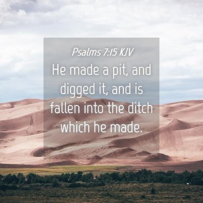 Picture 04 - Psalms 7:15 KJV - He made a pit, and digged it, and is fallen into - Bible Verse Picture