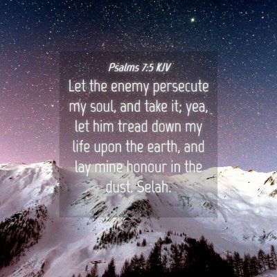 Picture 04 - Psalms 7:5 KJV - Let the enemy persecute my soul, and take it; - Bible Verse Picture