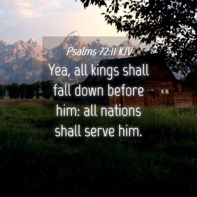Picture 04 - Psalms 72:11 KJV - Yea, all kings shall fall down before him: all - Bible Verse Picture