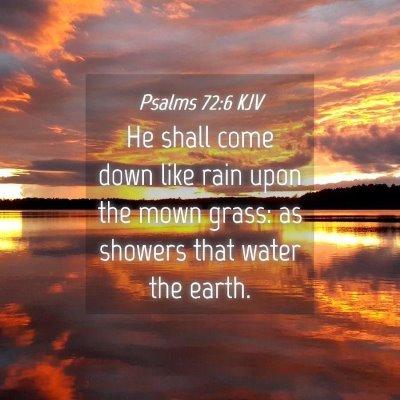 Picture 04 - Psalms 72:6 KJV - He shall come down like rain upon the mown grass: - Bible Verse Picture