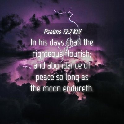 Picture 04 - Psalms 72:7 KJV - In his days shall the righteous flourish; and - Bible Verse Picture