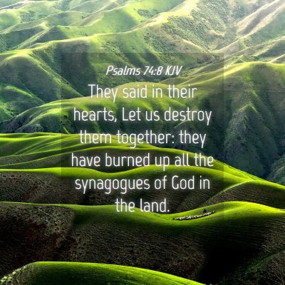 Picture 04 - Psalms 74:8 KJV - They said in their hearts, Let us destroy them - Bible Verse Picture