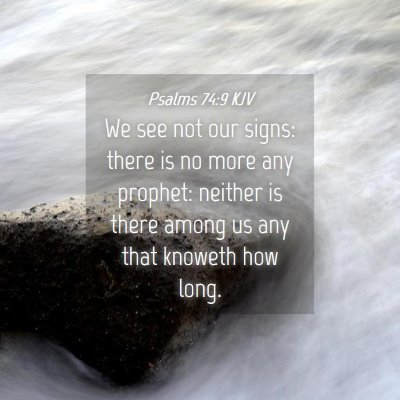 Picture 04 - Psalms 74:9 KJV - We see not our signs: there is no more any - Bible Verse Picture
