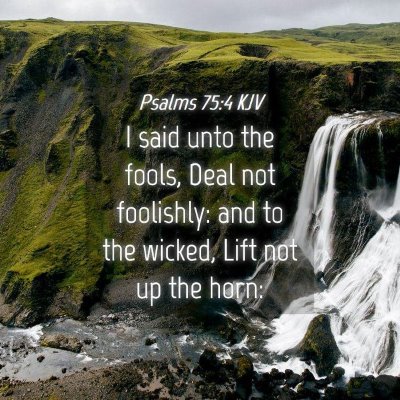 Picture 04 - Psalms 75:4 KJV - I said unto the fools, Deal not foolishly: and to - Bible Verse Picture
