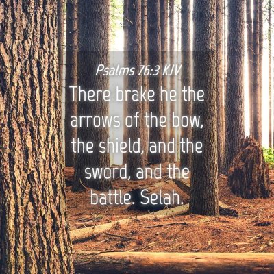 Picture 04 - Psalms 76:3 KJV - There brake he the arrows of the bow, the shield, - Bible Verse Picture