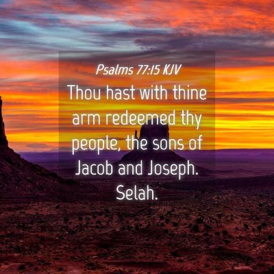 Picture 04 - Psalms 77:15 KJV - Thou hast with thine arm redeemed thy people, the - Bible Verse Picture