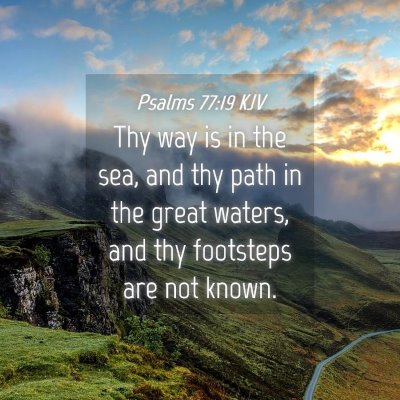 Picture 04 - Psalms 77:19 KJV - Thy way is in the sea, and thy path in the great - Bible Verse Picture