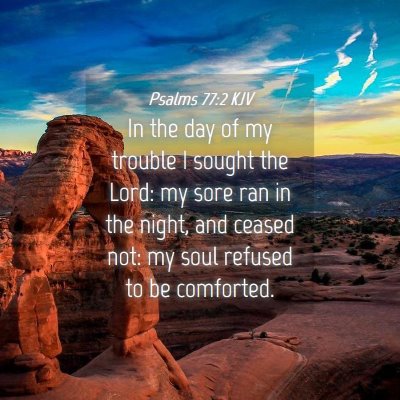 Picture 04 - Psalms 77:2 KJV - In the day of my trouble I sought the Lord: my - Bible Verse Picture