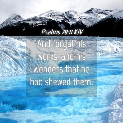 Picture 04 - Psalms 78:11 KJV - And forgat his works, and his wonders that he had - Bible Verse Picture
