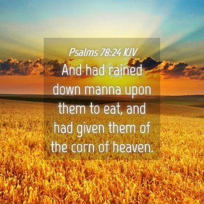 Picture 04 - Psalms 78:24 KJV - And had rained down manna upon them to eat, and - Bible Verse Picture