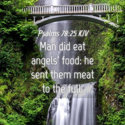 Picture 04 - Psalms 78:25 KJV - Man did eat angels' food: he sent them meat to - Bible Verse Picture