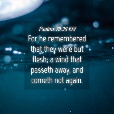 Picture 04 - Psalms 78:39 KJV - For he remembered that they were but flesh; a - Bible Verse Picture