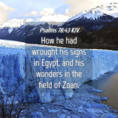 Picture 04 - Psalms 78:43 KJV - How he had wrought his signs in Egypt, and his - Bible Verse Picture