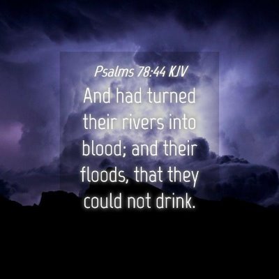 Picture 04 - Psalms 78:44 KJV - And had turned their rivers into blood; and their - Bible Verse Picture