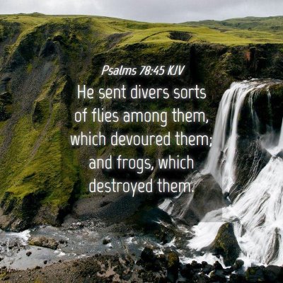 Picture 04 - Psalms 78:45 KJV - He sent divers sorts of flies among them, which - Bible Verse Picture