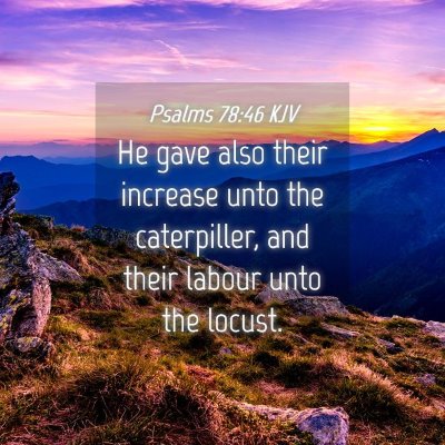 Picture 04 - Psalms 78:46 KJV - He gave also their increase unto the caterpiller, - Bible Verse Picture