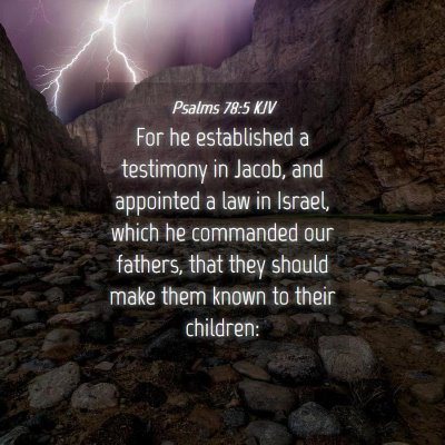 Picture 04 - Psalms 78:5 KJV - For he established a testimony in Jacob, and - Bible Verse Picture