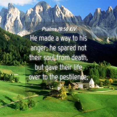 Picture 04 - Psalms 78:50 KJV - He made a way to his anger; he spared not their - Bible Verse Picture