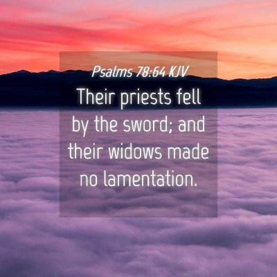 Picture 04 - Psalms 78:64 KJV - Their priests fell by the sword; and their widows - Bible Verse Picture