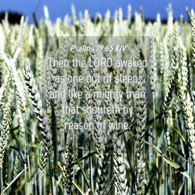 Picture 04 - Psalms 78:65 KJV - Then the LORD awaked as one out of sleep, and - Bible Verse Picture