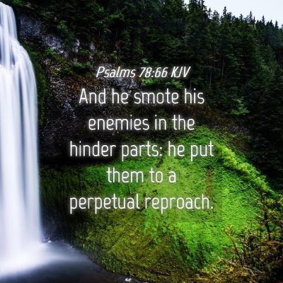 Picture 04 - Psalms 78:66 KJV - And he smote his enemies in the hinder parts: he - Bible Verse Picture