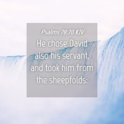 Picture 04 - Psalms 78:70 KJV - He chose David also his servant, and took him - Bible Verse Picture