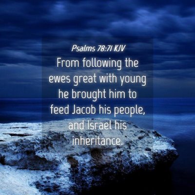 Picture 04 - Psalms 78:71 KJV - From following the ewes great with young he - Bible Verse Picture