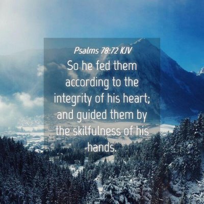 Picture 04 - Psalms 78:72 KJV - So he fed them according to the integrity of his - Bible Verse Picture
