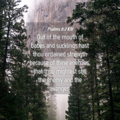 Picture 04 - Psalms 8:2 KJV - Out of the mouth of babes and sucklings hast thou - Bible Verse Picture